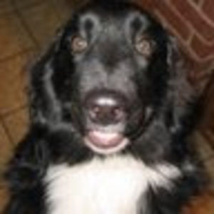 Meet your Posher, Hunter